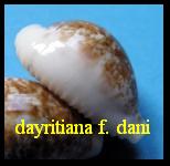 dayritiana f. dani